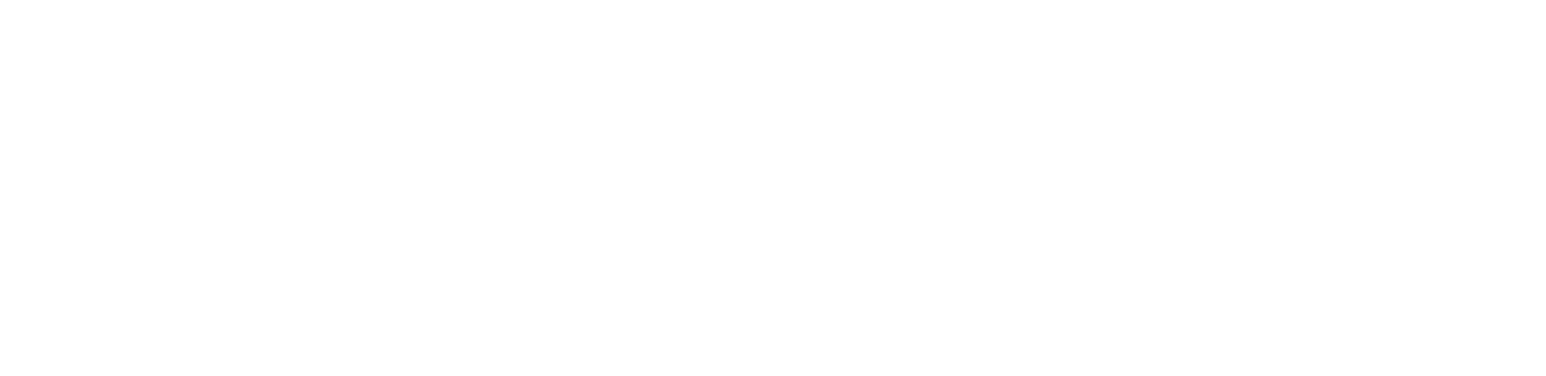 Bifixit